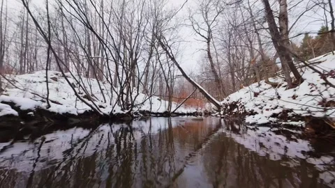 Cinematic fpv winter river low flythrough in snowy forest Stock Footage 321380425