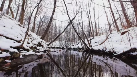 Cinematic fpv winter river low flythrough in snowy forest Stock Footage 321380448