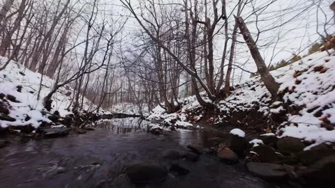 Cinematic fpv winter river low flythrough in snowy forest Stock Footage 321380528