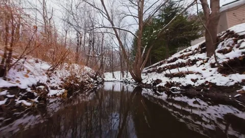 Cinematic fpv winter river low flythrough in snowy forest Stock Footage 321380554