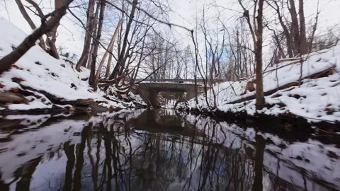 Cinematic fpv winter river low flythrough in snowy forest Stock Footage 321380565