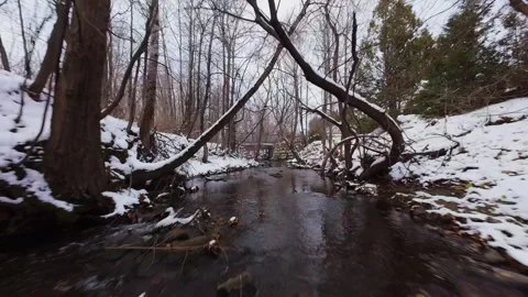 Cinematic fpv winter river low flythrough in snowy forest Stock Footage 321380601