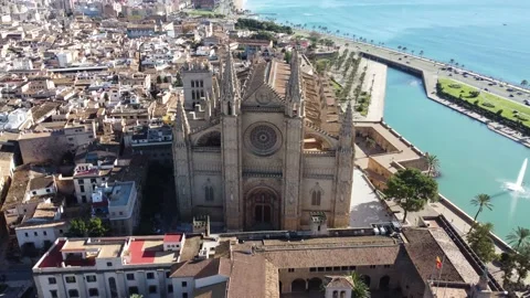Cinematic frontal panoramic view of La Seu Palma Gothic Cathedral Stock Footage 166575171