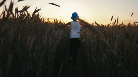 Cinematic Funny boy in a hat runs on a golden wheat field at sunset, out of Stock Footage 166901057