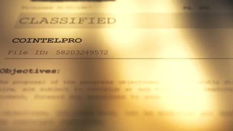 Cinematic Generic Classified Document - Cointelpro Stock-Footage 342509015