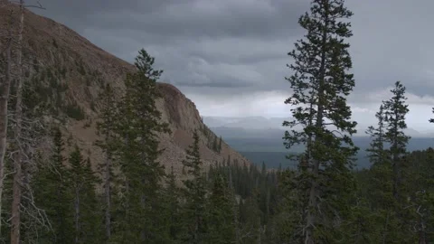 Cinematic Gimbal walk through the trees on a mountain with thunderstorm. Stock Footage 162012471