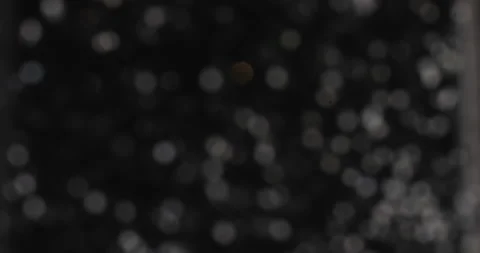Cinematic Glitter Effect C4K Stock-Footage 227816367