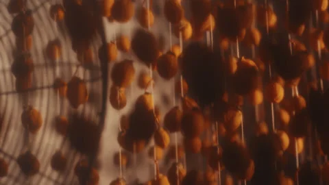 Cinematic Hanging Persimmons in a Rustic Drying Room with Fan and Warm Light Stock Footage 332245961