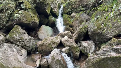 Cinematic High Frame Rate Cascading Waterfall in Deep Forest Stock Footage 330620510