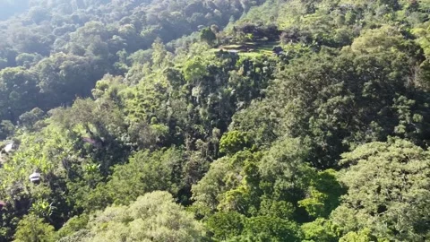 Cinematic hill drone view Stock Footage 207944105