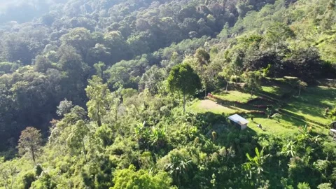 Cinematic hill drone view Stock Footage 207944178