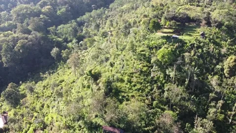 Cinematic hill drone view Stock Footage 207944274