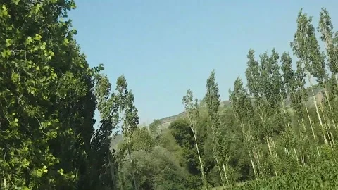 Cinematic hills background Stock Footage 165370168