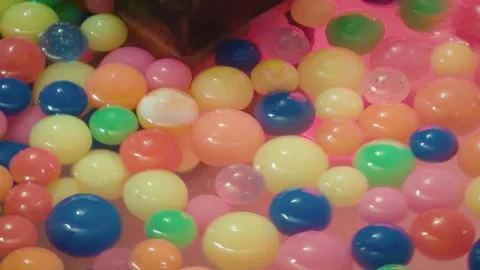 Cinematic horizontal close-up panning shot of vibrant bouncy balls Vidéo 345424444