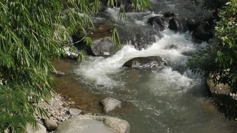 Cinematic horizontal slow motion of fresh clean river rapids. Stock Footage 336316668