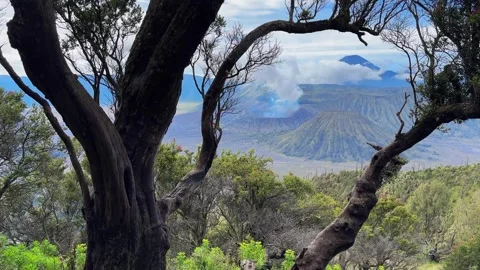 Cinematic Horizontal Timelapse of Fast-Moving Clouds Over Mount Bromo Volcan Stock Footage 330304174