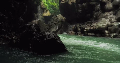 Cinematic Jungle River Flow with Clear Water and Smooth Motion 動画素材 332653795
