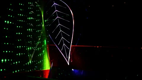 Cinematic Leaf in Dark Illumination Stock Footage 303511888