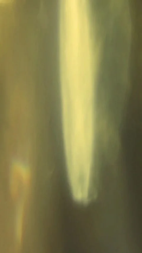 Cinematic light leak effect. Green glow overlay transition Видео 339778824