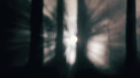 Cinematic light rays in the night forest smoke and fog Stock Footage 74506766