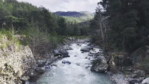 Cinematic Low-Altitude Drone Flight Over Forest River - 4K Stock Footage 331765270