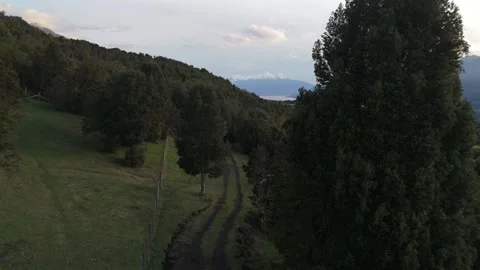 Cinematic Low-Altitude Drone Flight Over Dirt Road Through Forest 库存影片 333773887