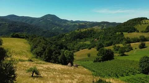 Cinematic Low Angle Aerial View Flying Over Green Grass Field and Hills Stock Footage 342238095