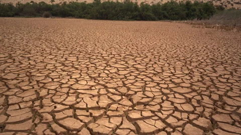 Cinematic Low Angle Tracking Shot Over Cracked Earth Towards Green Vegetation Vídeos de archivo 334716328