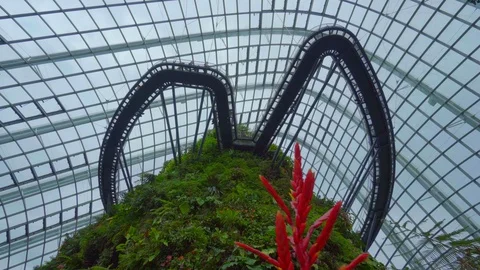 Cinematic low angle view of Cloud Forest, Gardens by the Bay, Singapore Stock Footage 116547835