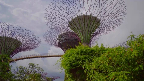 Cinematic low angle view of Supertree Garden with beautiful cloud Stock Footage 121385290