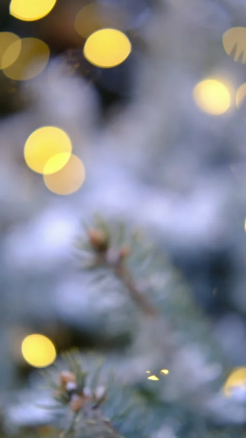 Cinematic macro Christmas tree branch decorated warm magical atmosphere 库存影片 341661065
