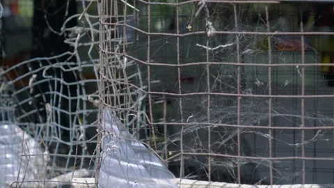 Cinematic Macro: Corroded Wire Mesh and Cobwebs in SE Asian Backyard Atmosphere Video stock 335616012