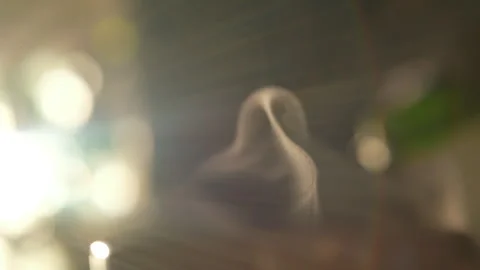 Cinematic macro of floating dust particles illuminated by warm sunlight 库存影片 341536218