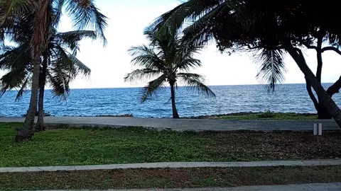 Cinematic Malecon oceanfront view and Caribbean coast Vídeos de archivo 346662645