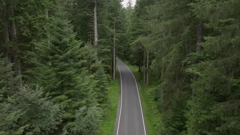Cinematic motion over road in forest with passing car Stock Footage 263263896