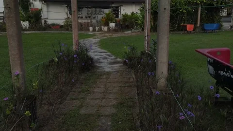 Cinematic movement of Drone passing through garden during Dusk Stock Footage 148011927