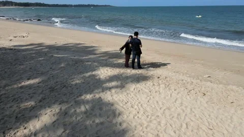 Cinematic movement surrounding couples on the Beach Stock Footage 148012424