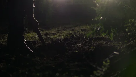 Cinematic Murderer Digging Hole At Night To Dispose Victim's Body Stock Footage 108782406
