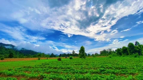 Cinematic nature Stock Footage 275016565
