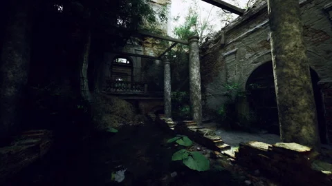 Cinematic noir scene with dramatic shadows and mosscovered stones Stock-Footage 342924637