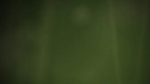 Cinematic Olive Green Background with Floating Dust and Light Rays. Loop. 4K Vídeo Stock 339369906
