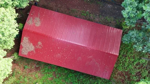 Cinematic orbit ascent above secluded cabin in Hopea odorata forest, Vietnam Vídeo Stock 340256724