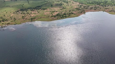 Cinematic-orbit-drone-shot-over-wetland-lake-shoreline Stock Footage 341591345