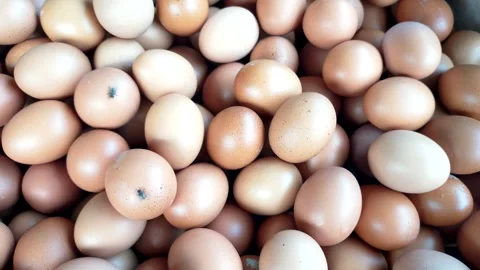 Cinematic organic chicken egg texture Stock Footage 288363264