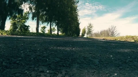 Cinematic Paddy fields 库存影片 247629392