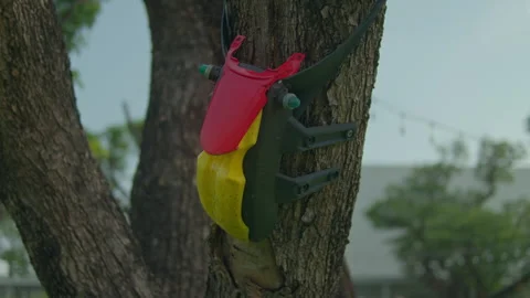 Cinematic Pan of Colorful Plastic Object Attached to Tree Trunk 스톡 동영상 332272995