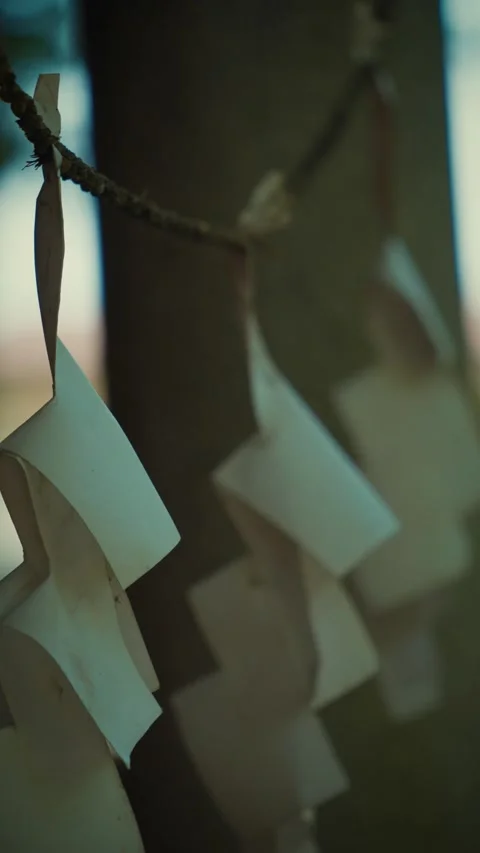Cinematic pan of white shide paper streamers at shrine Stock Footage 346263726