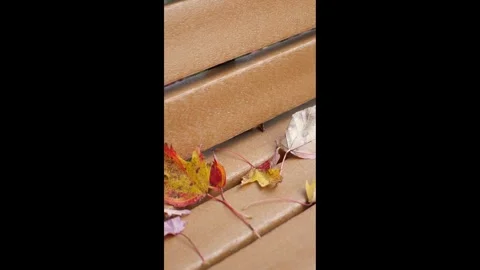 Cinematic Park Bench with Leaves in Fall - Vertical Render Stock Footage 325752748