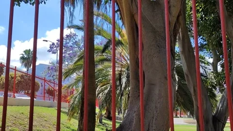Cinematic Park View Through Red Fence Video stock 334056861