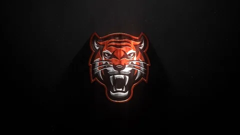 cincinnati bengals glow tiger 1920×1080